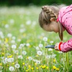 Little curious girl photographing up close with her smart phone, exploring nature and standing in a dandelion meadow. Active lifestyle, curiosity, pursuing a hobby, technology and kids concept.