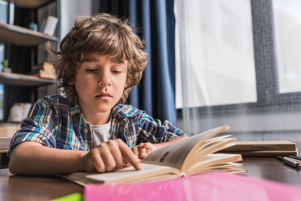 Beginner Chapter Books Boy Reading