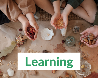 Learning Category Thumbnail (nature classroom with close up of hands holding acorns, leaves, etc)